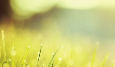 Slide background